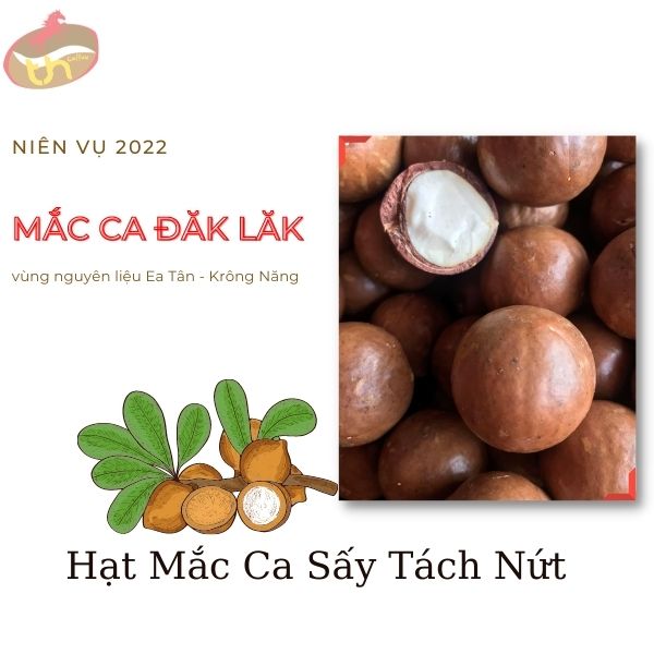 500gr 500gr nhân nguyên macca đăk lăk sấy nguyên vị giàu chất dinh dưỡng - hàng vip