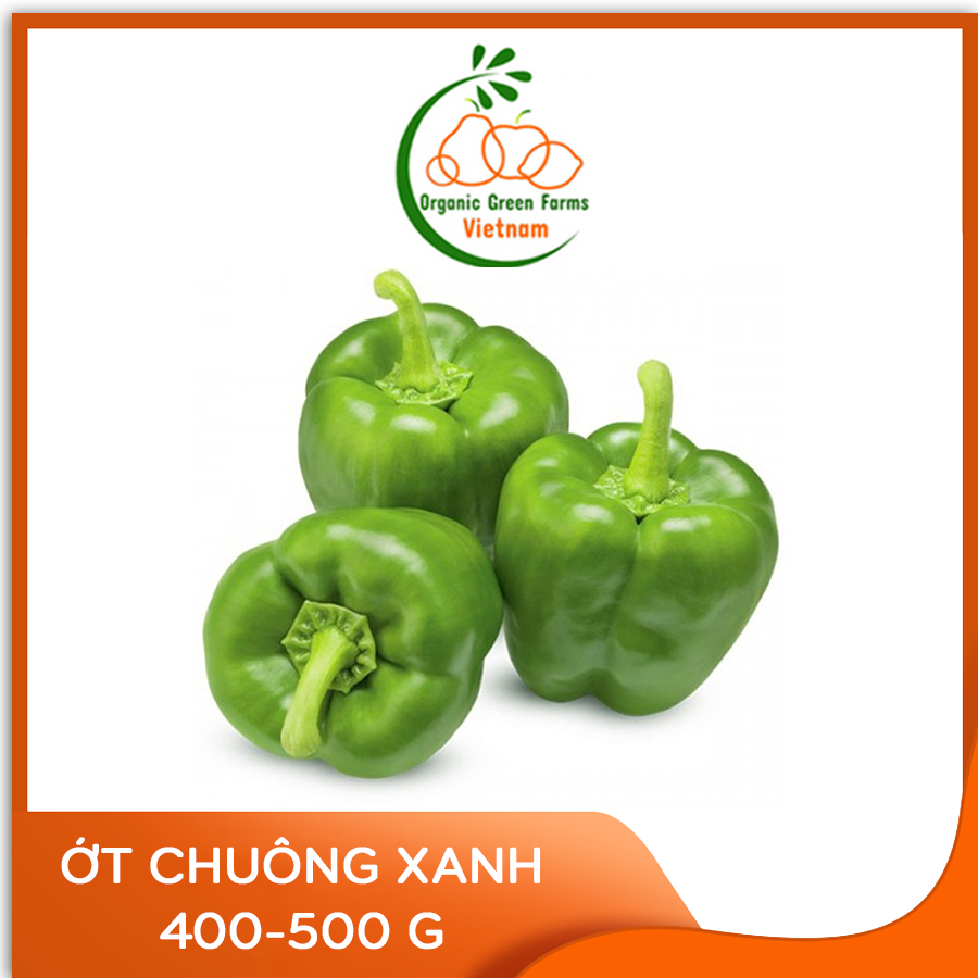 [OGF] - Ớt chuông xanh Đà Lạt (400-500g) - [Giao nhanh TPHCM]