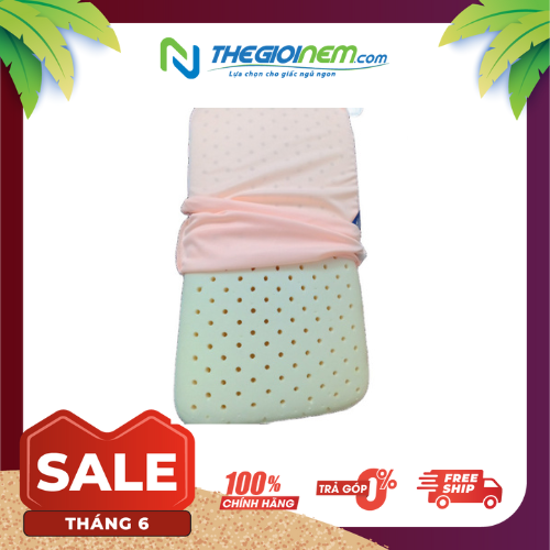 [HCM]Gối cao su thiên nhiên Oval Liên Á 24 x 37 x 6.5cm +  tặng Vỏ áo cùng kích thước