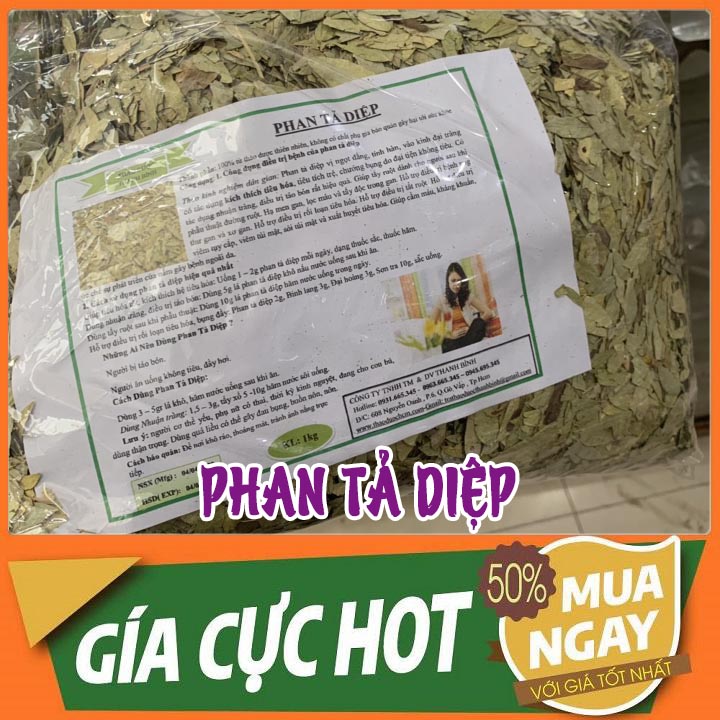 Combo 2kg phan tả diệp khô hàng cty- đông y thanh bình