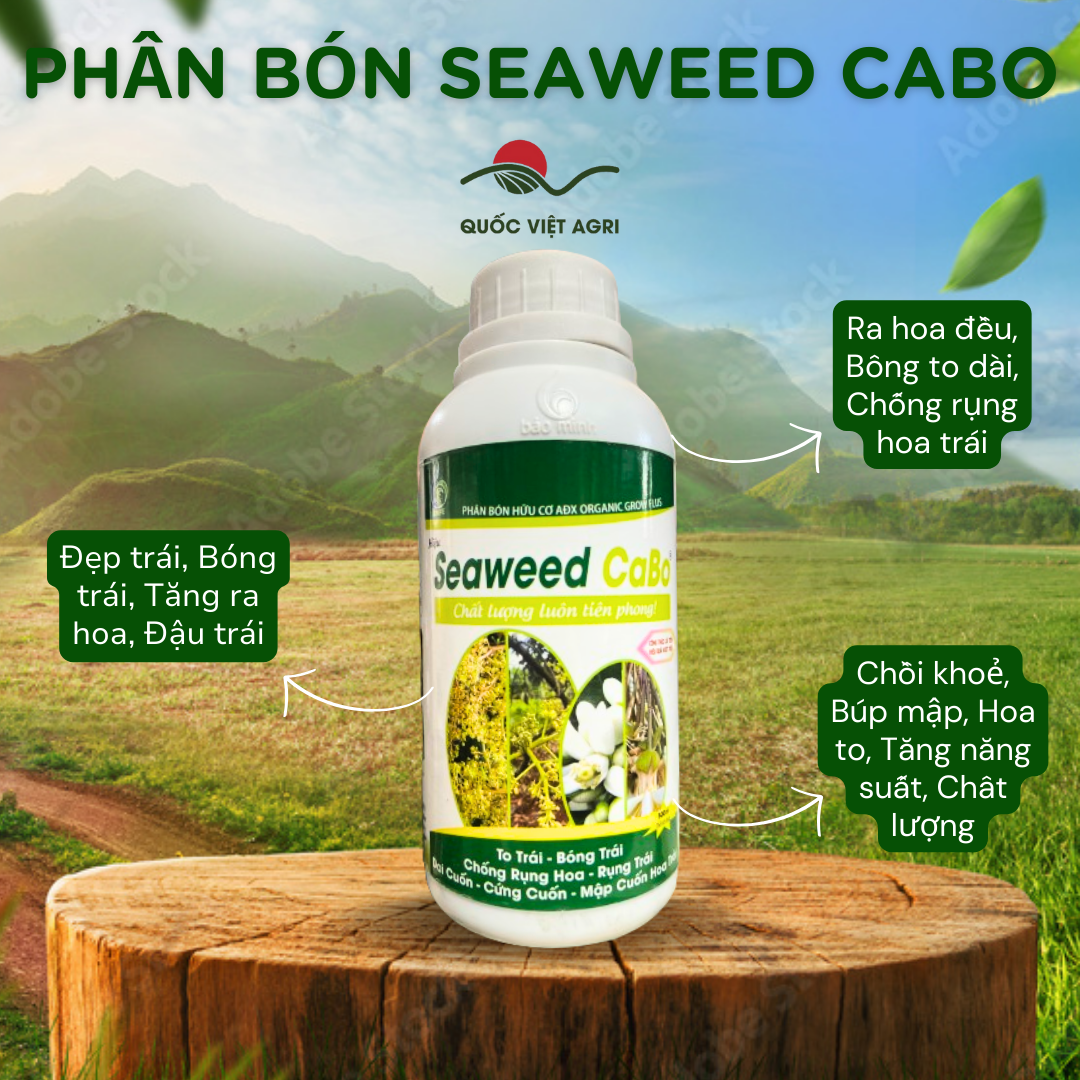 Phân bón hữu cơ - seaweed cabo - 500ml
