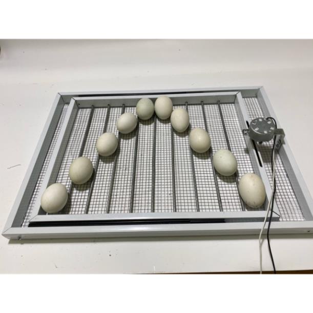 Khay nhôm đảo lăn 180 độ 60 trứng