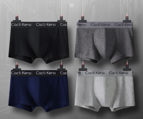 Hộp 4 quần sịp đùi cotton cao cấp cacti keno, Quần lót nam boxer cao cấp thoáng khí, kháng khuẩn, quần sịp đùi nam