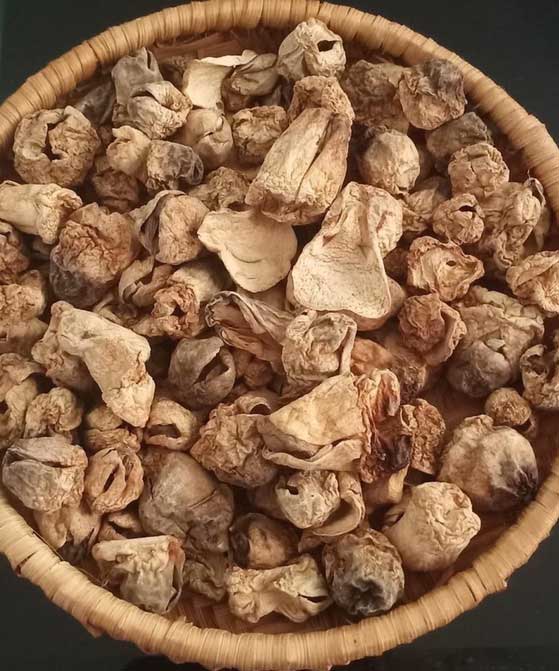 Nấm rơm sấy khô - túi hút chân không 500g - đặc sản đồng tháp