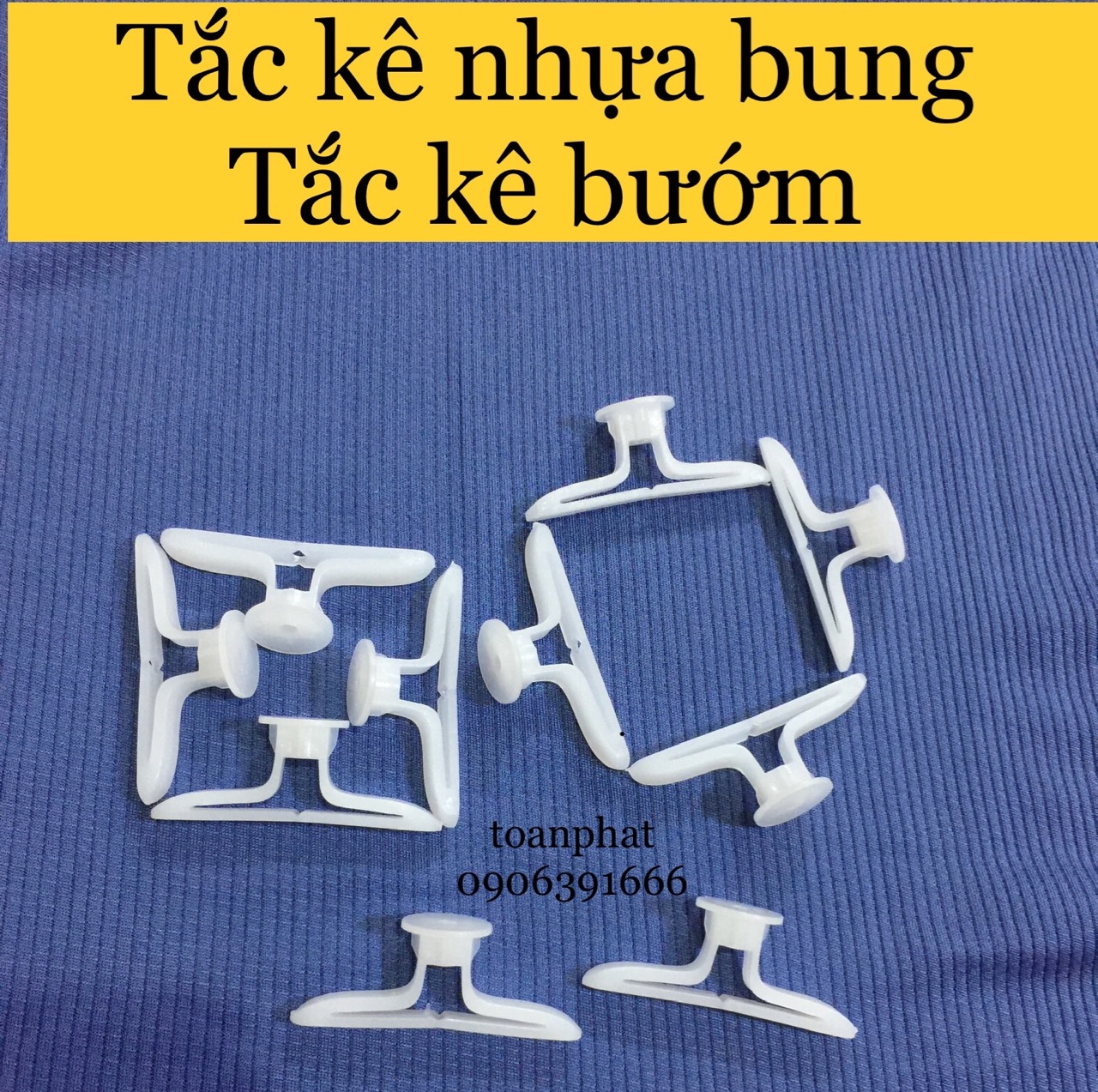 Tắc kê thạch cao, tắc kê bướm