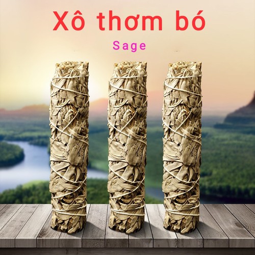 Bó xô thơm trắng- White sage -