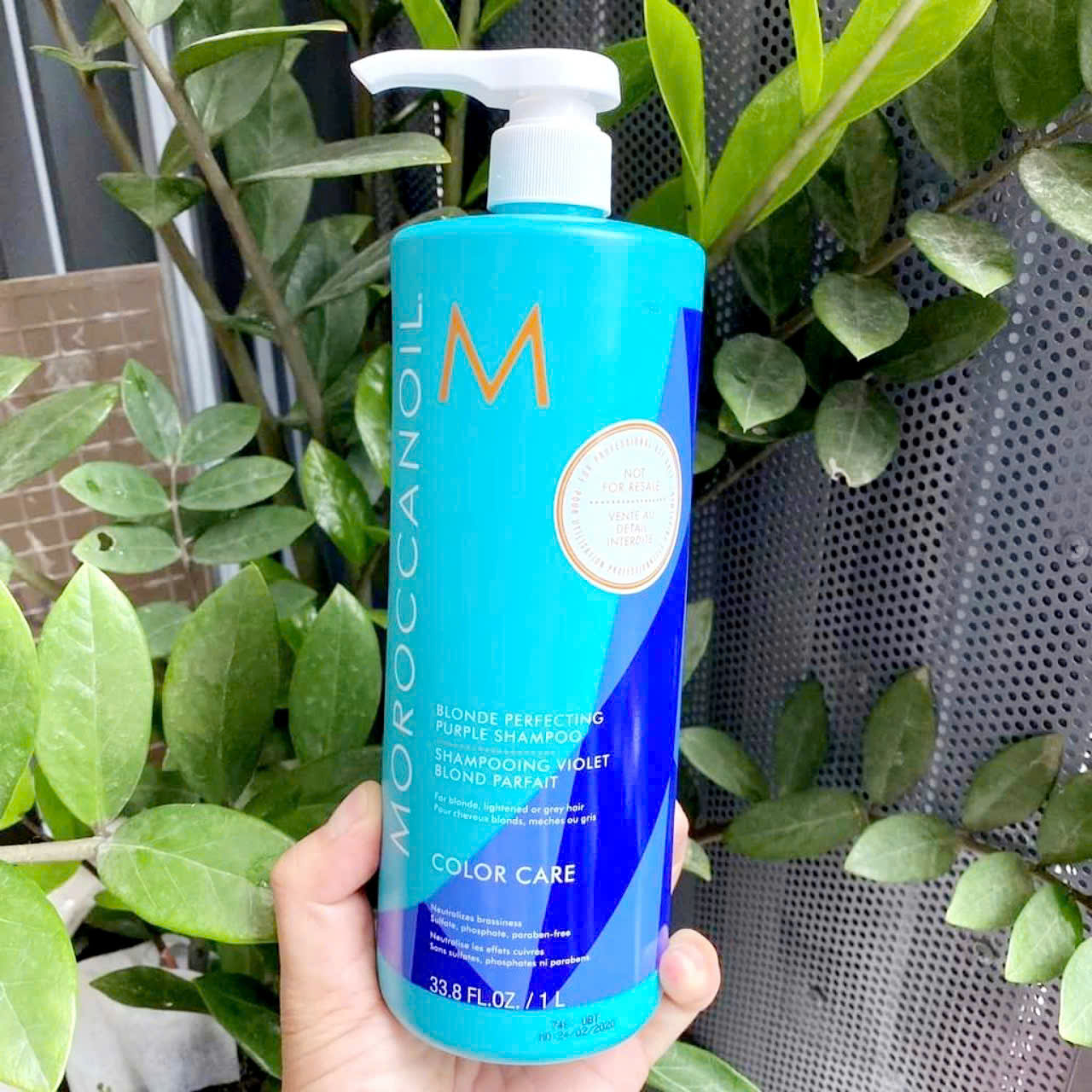 Dầu gội tím khử ánh vàng color care moroccanoil 1000ml
