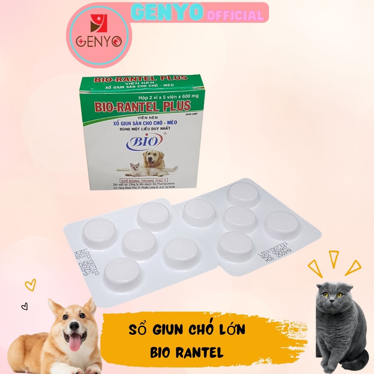 Sổ giun cho chó mèo lớn Tẩy giun cho chó mèo lớn(1 viên 10kg thể trọng) - Bio Rantel Plus