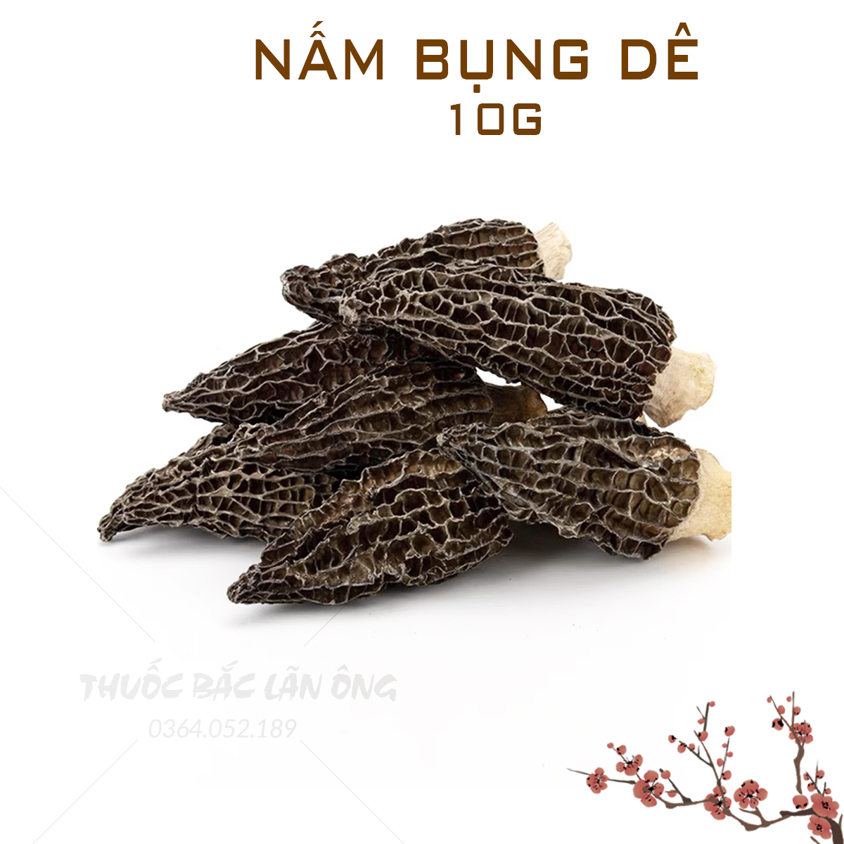 10g Nấm bụng dê khô