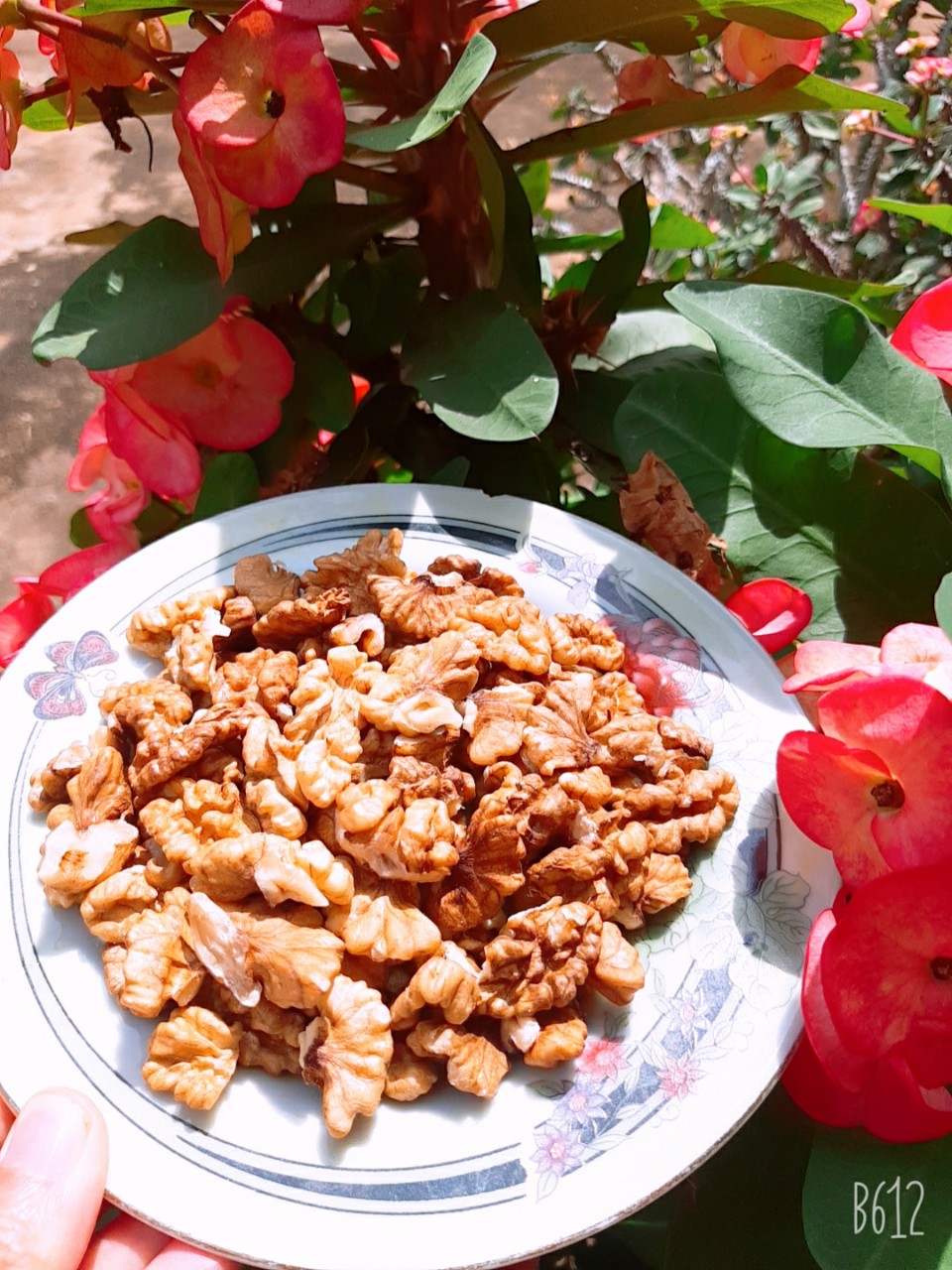 Quả óc chó sấy nguyên vỏ-Gói 500gr- Tốt cho mẹ bầu, thai nhi, bổ sung omega, tốt cho trí não, giúp trẻ thông minh, chống tim mạch, tiểu đường-Hạt tự nhiên sức khỏe vàng-Nông sản Tây Nguyên 79-Món quà từ thiên nhiên