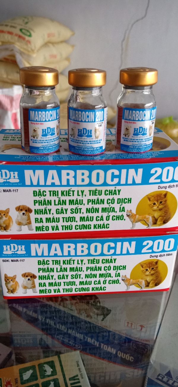 Kháng Sinh T rị Chó Mèo Tiêu Chảy Phân Lẫn Máu - 242