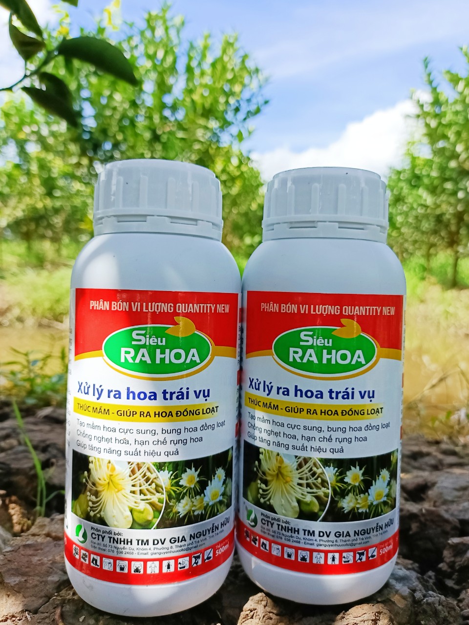 Phân bón Siêu ra hoa (chai 500ml) - DƯỠNG MẦM HOA, GIÚP HOA RA ĐỒNG LOẠT