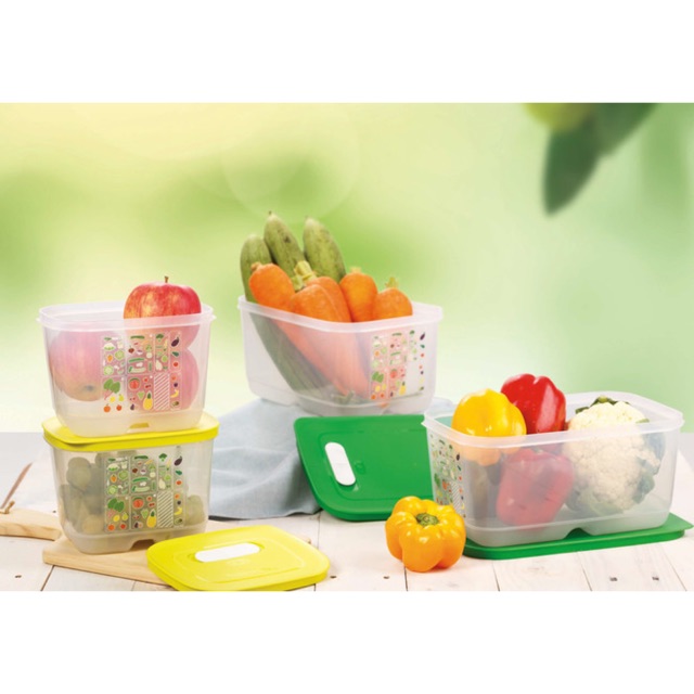 Bộ hộp trữ mát vensmart set 4 hộp