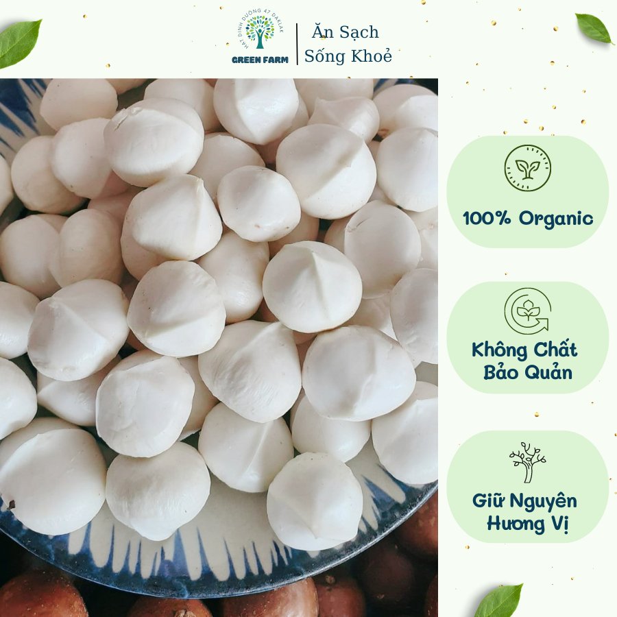 Nhân macca sấy chín Tây Nguyên loại 1, Nhân macca nguyên size Đại dinh dưỡng tốt cho bà bầu, Nhân Mắc Ca Green Farm