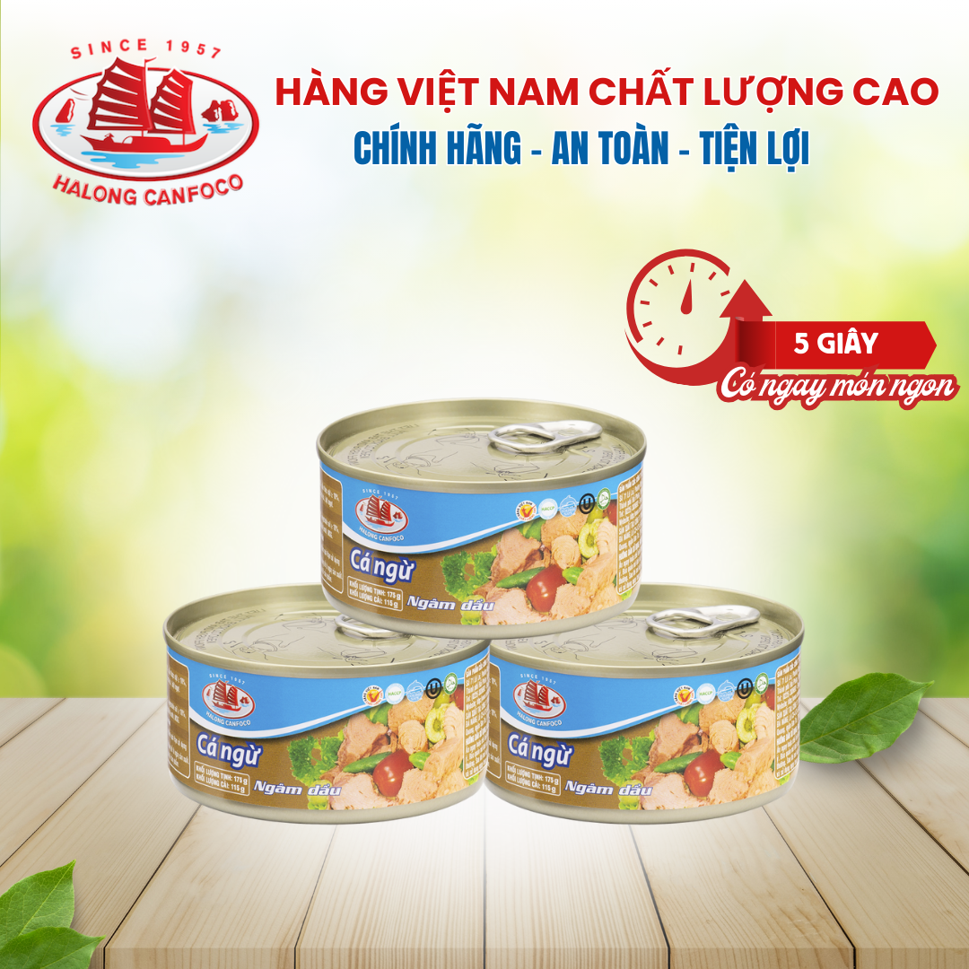 Combo 3 hộp cá ngừ ngâm dầu 115/175g - đồ hộp hạ long