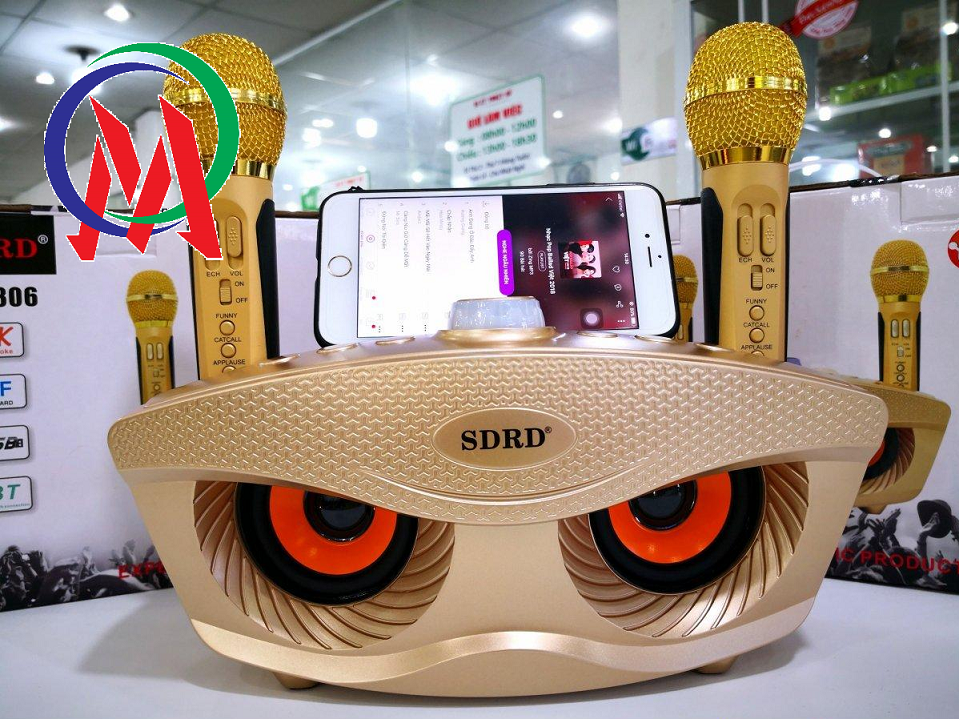 Loa karaoke sd-306 kèm 2 mic không dây