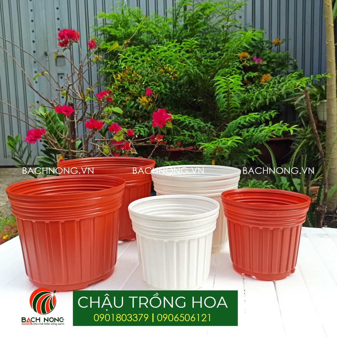 Combo 10 chậu nhựa trồng hoa kt 280x205mm