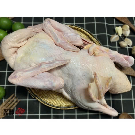 Vịt tươi nguyên con cấp đông không lòng -1,5kg đến 1,7kg (giao hỏa tốc tphcm)