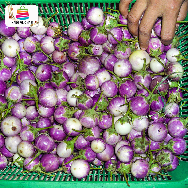 [HCM]Hạt giống Cà pháo Tím cao sản 125 Phú Nông - Gói 0.5g - PhuNongSeeds