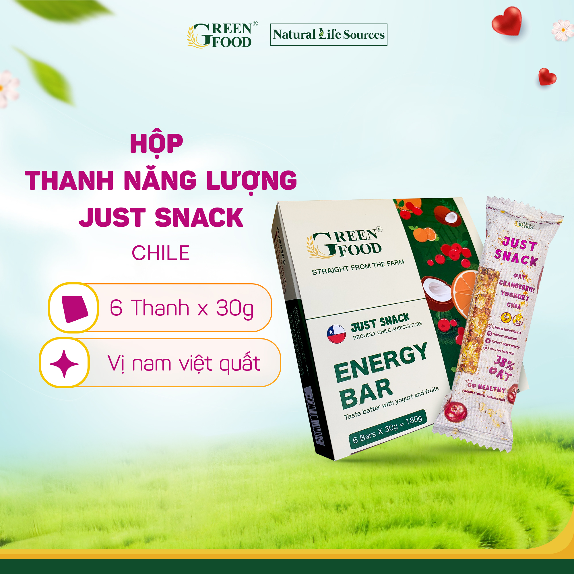 Hộp 6 Thanh Năng lượng JUST SNACK Ngũ cốc yến mạch vị Nam Việt Quất | Hộp 6x30g/thanh - Nhỏ gọn, ăn liền tiện lợi, dinh dưỡng đầy đủ, nhập khẩu Chile