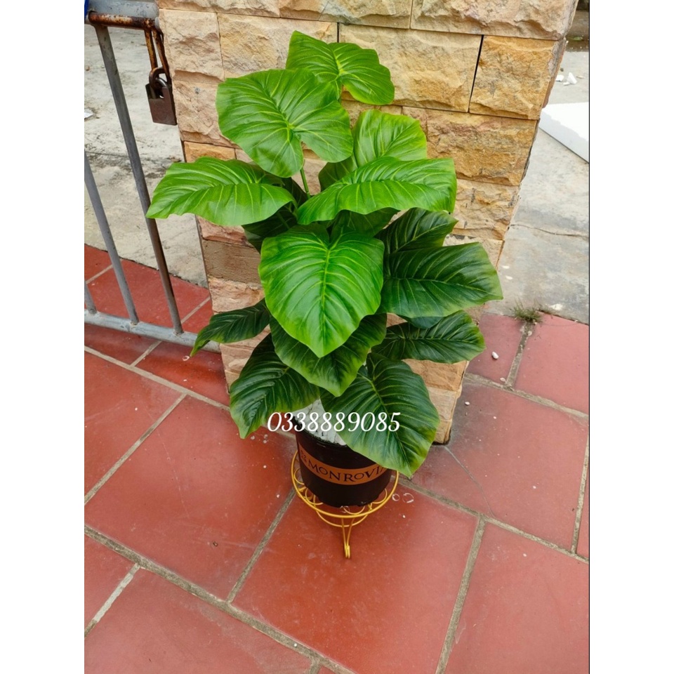 Cây giả - cây trầu bà, vạn niên thanh 18 lá cỡ to 90cm