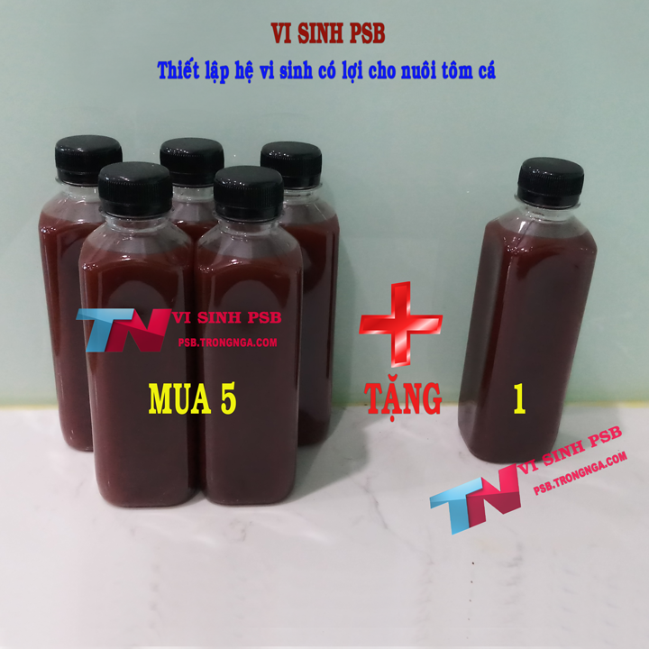Vi sinh quang hợp PSB đậm đặc khử mùi hôi nước bể cá, phân hủy phân cá và thức ăn thừa