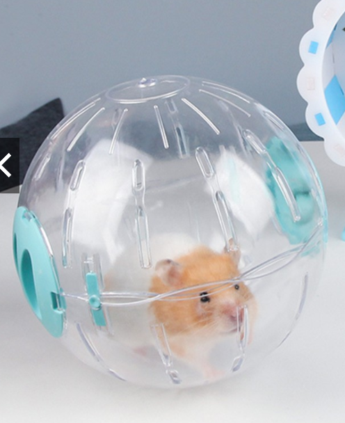 Banh chạy mika không đế size trung - lớn - big size cho hamster robo-camp-ww-bear - nhím