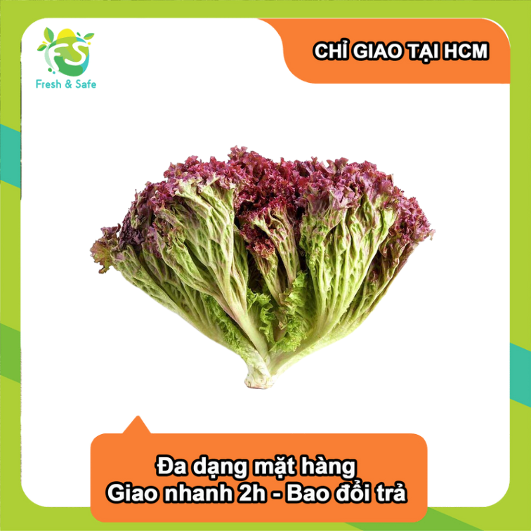Xà lách lolo tím - 300g