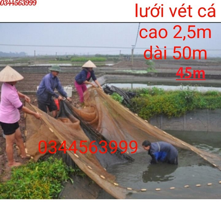 Lưới vét cá - lưới quét cá - lưới kéo cá - dài 45m, 50m cao 2,5m