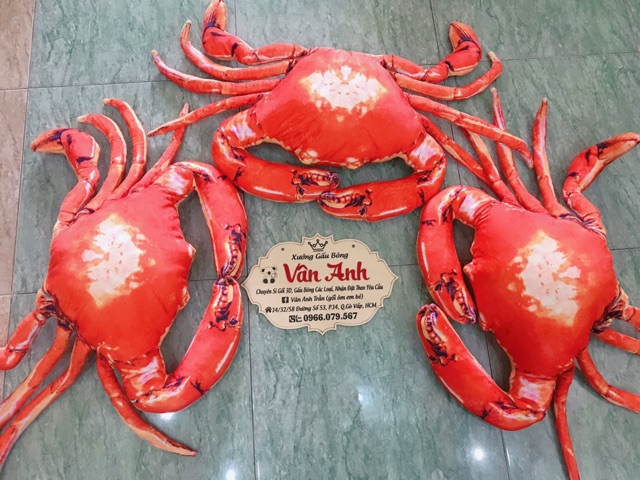 Gối ôm 3d con cua gối ôm cho bé ngủ