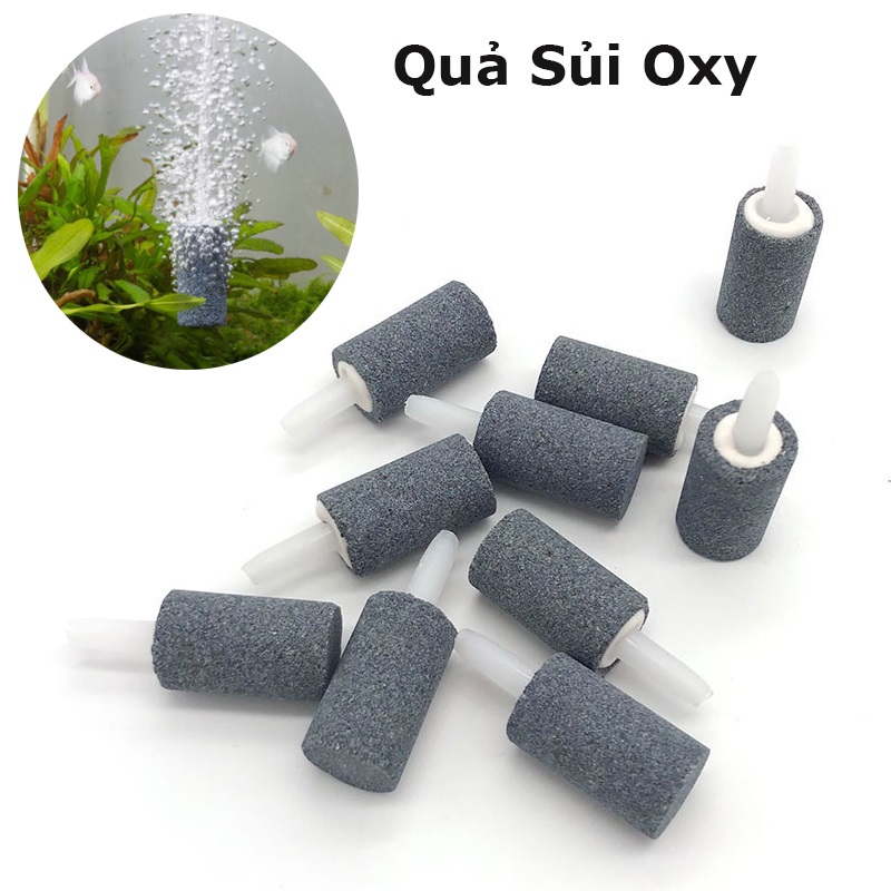 Quả sủi trụ nhỏ
