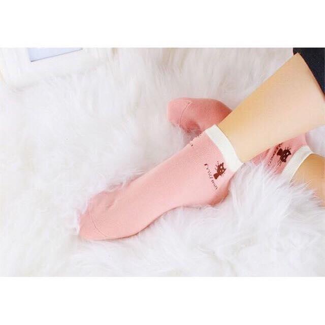 Set 10 đôi tất nữ hình mèo hàn quốc cổ ngắn chống hôi chân