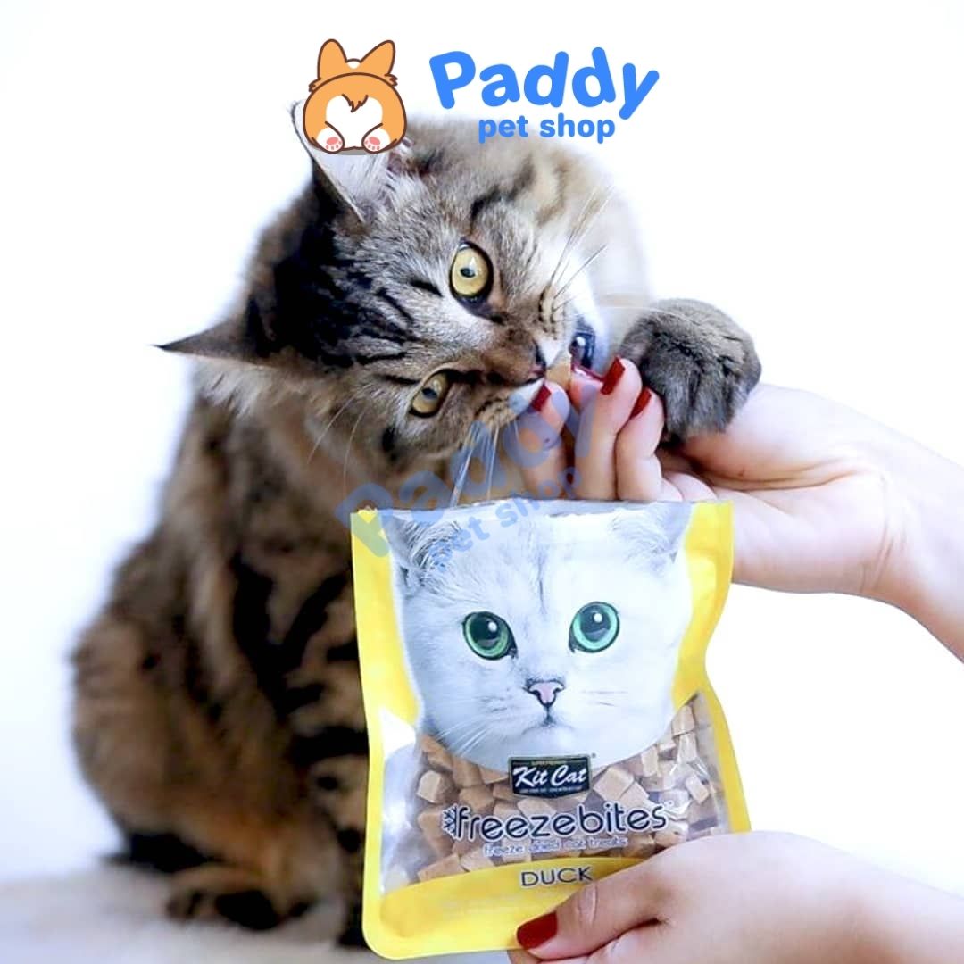 Cá & Gà Tươi Sấy Khô Kit Cat Freeze Bites Snack Cho Mèo 15g