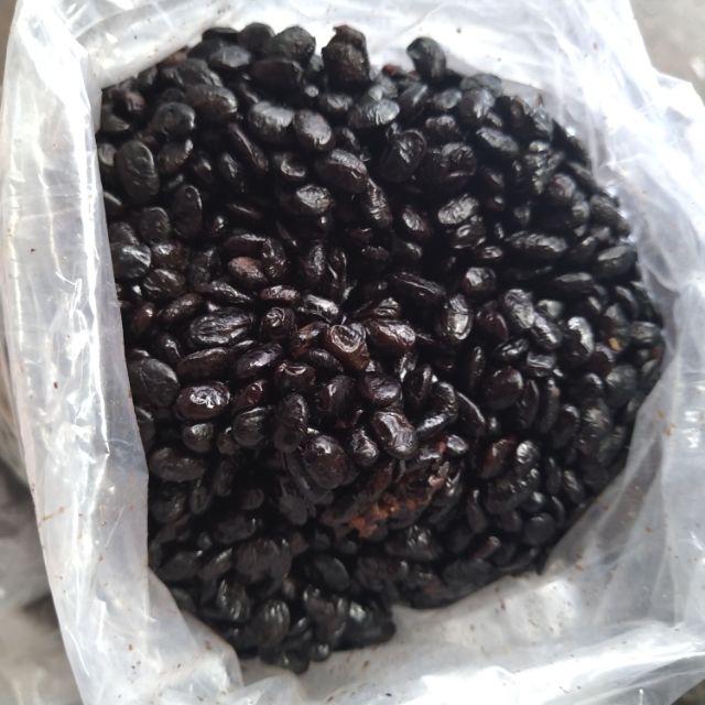 100g hạt tàu xì