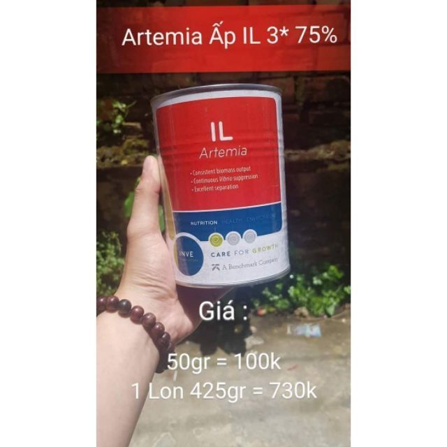 Artemia Ấp Nở Thái Lan Inve IL 5* - Lon 425Gr - Guppyxanh
