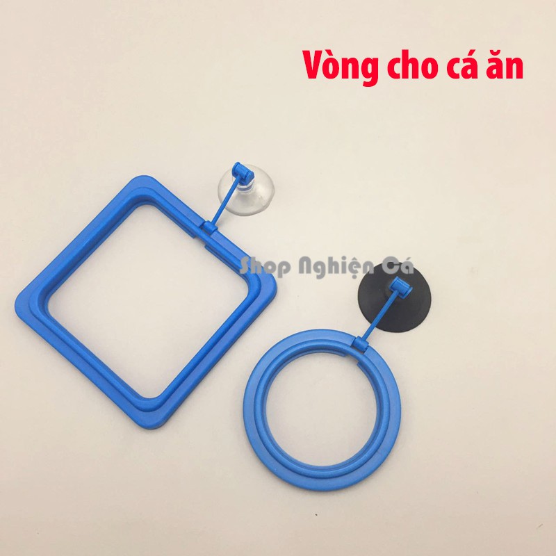 Vòng cho cá ăn - Vòng giữ thức ăn không bị phân tán