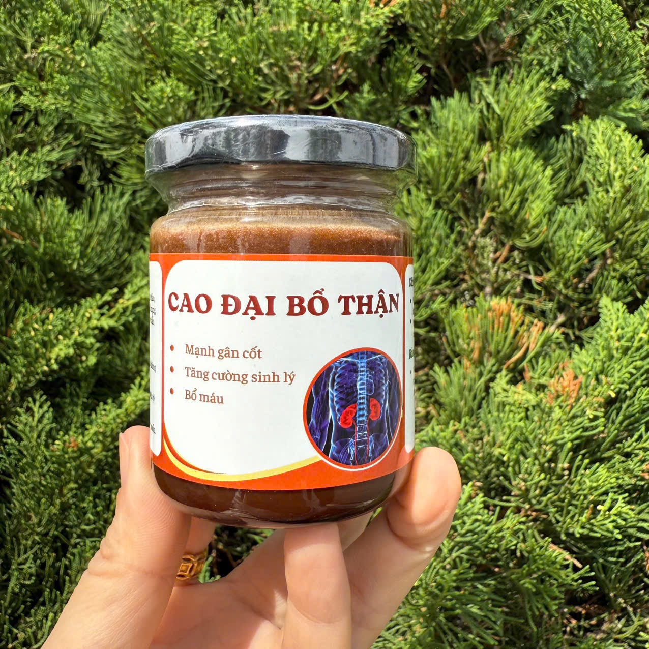Cao Dai Kidney Tonic - Herbal Tea (100ml Bottle)