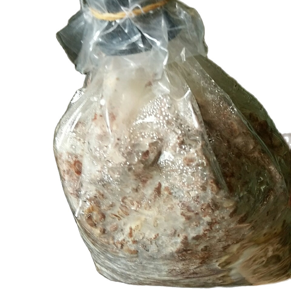 Meo nấm rơm bằng thóc