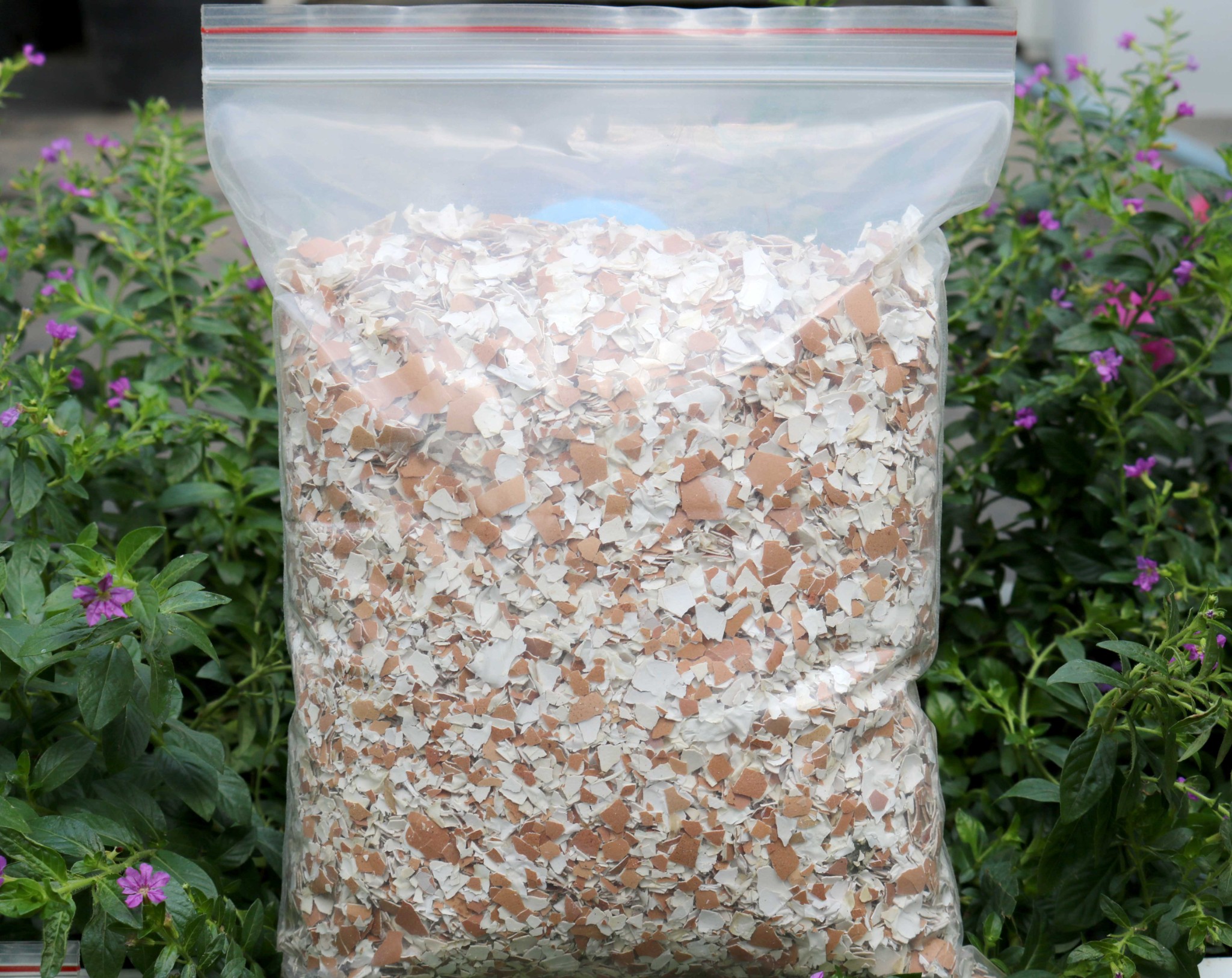 1kg Vỏ trứng Oganic gà đã xử lý bón cây bổ sung canxi chống rụng hoa, nứt quả, tăng độ tơi xốp cho đất