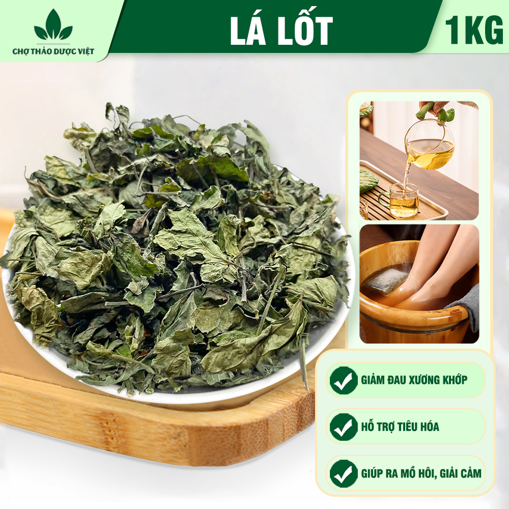 Lá lốt khô 1kg, không cành, nguyên lá, thơm, sạch - Chợ Thảo Dược Việt