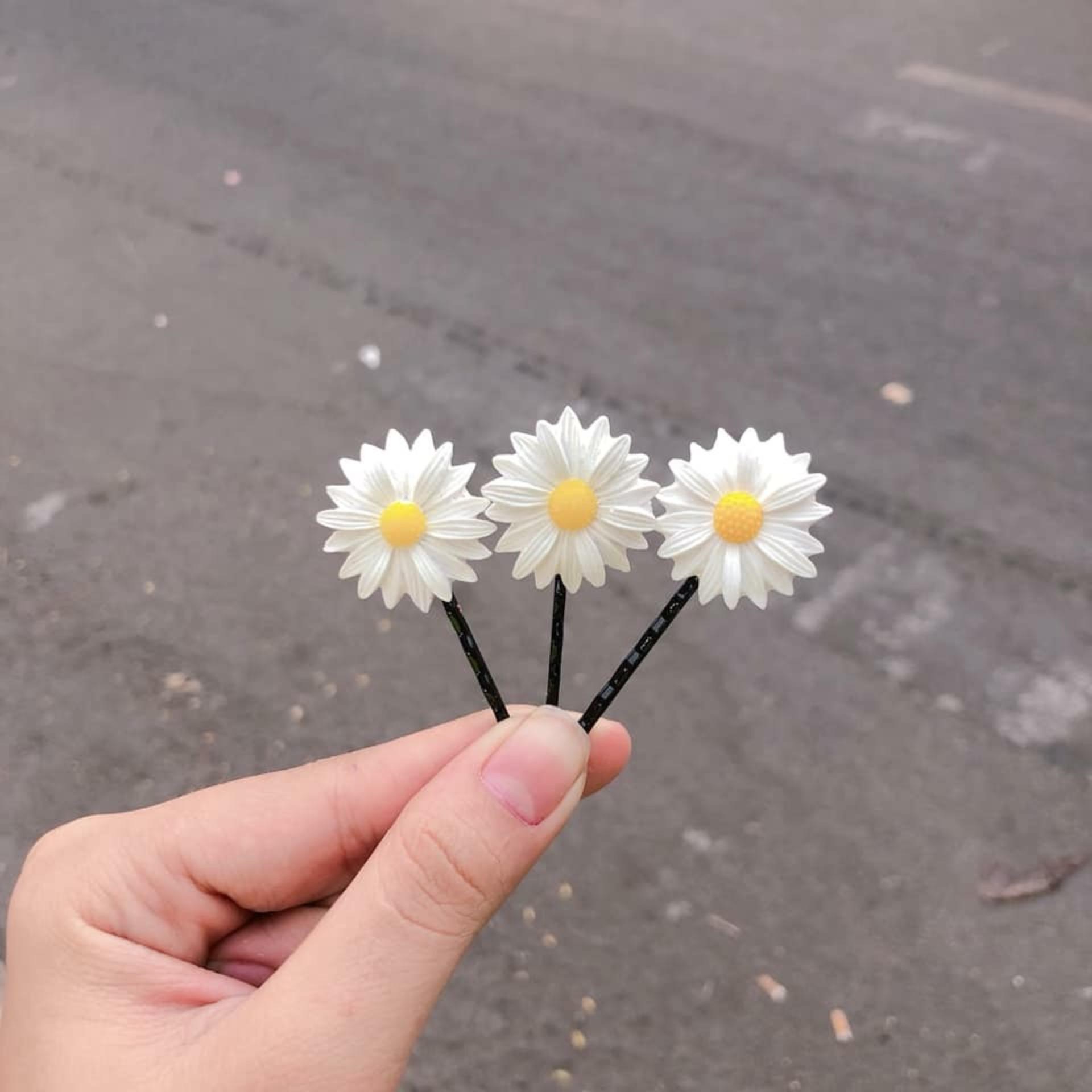 Set 3 kẹp tóc hoa cúc