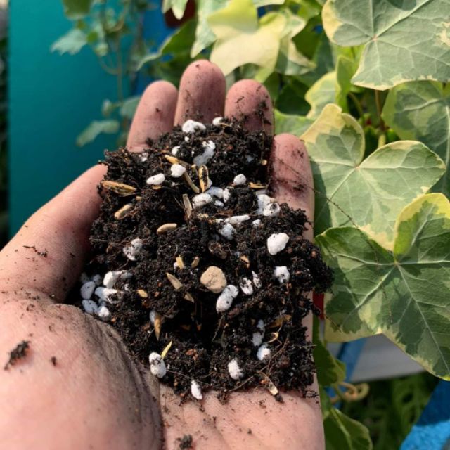 Đất trộn trồng sen đá-xương rồng, 15k/ 1kg, cam kết hàng đúng mô tả, chất lượng đảm bảo, inbox shop để được tư vấn thêm