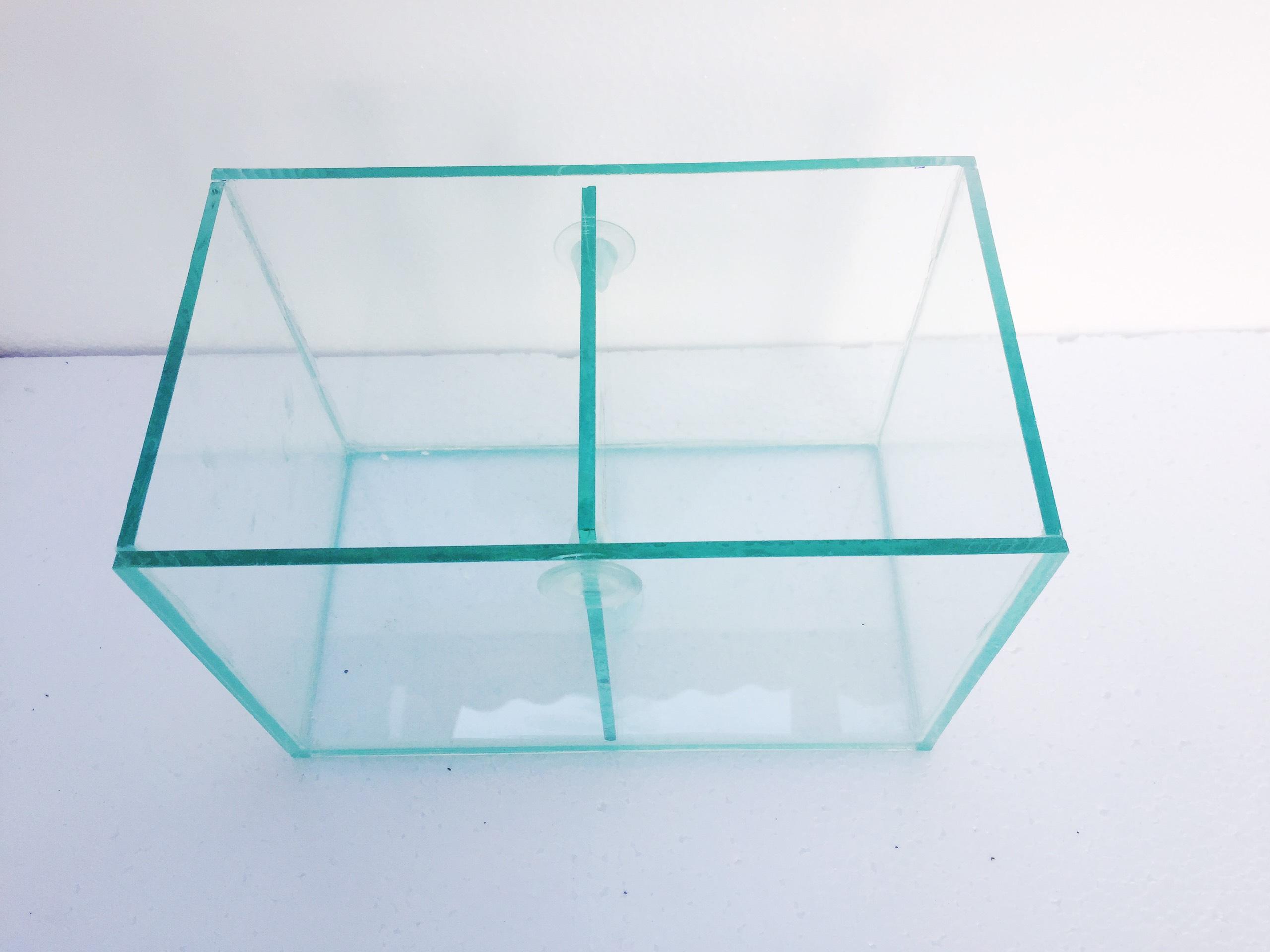 Bể cá mini ngăn đôi 24x14x16cm