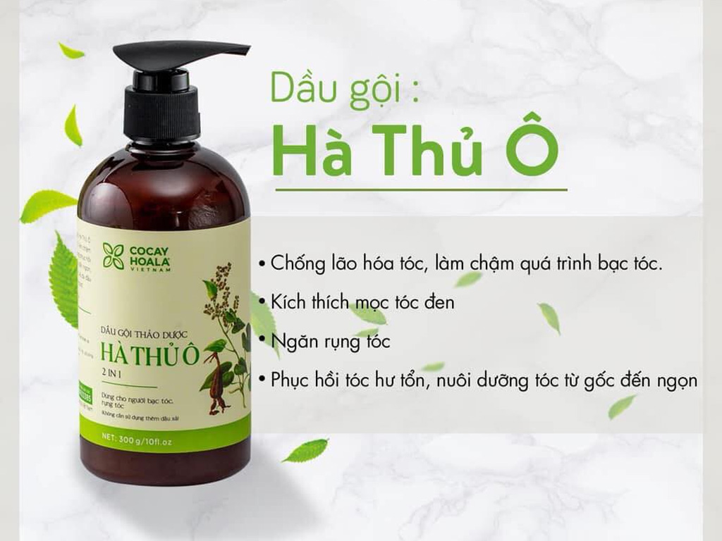 Dầu gội thảo dược Hà Thủ Ô 300ml, đen tóc, sạch gàu