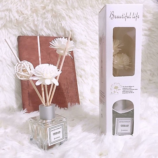 Lọ tinh dầu khô khuếch tán thơm phòng, lọ hoa tinh dầu thơm, đồ decor phòng, dụng cụ thơm phòng Taphoatoanquoc