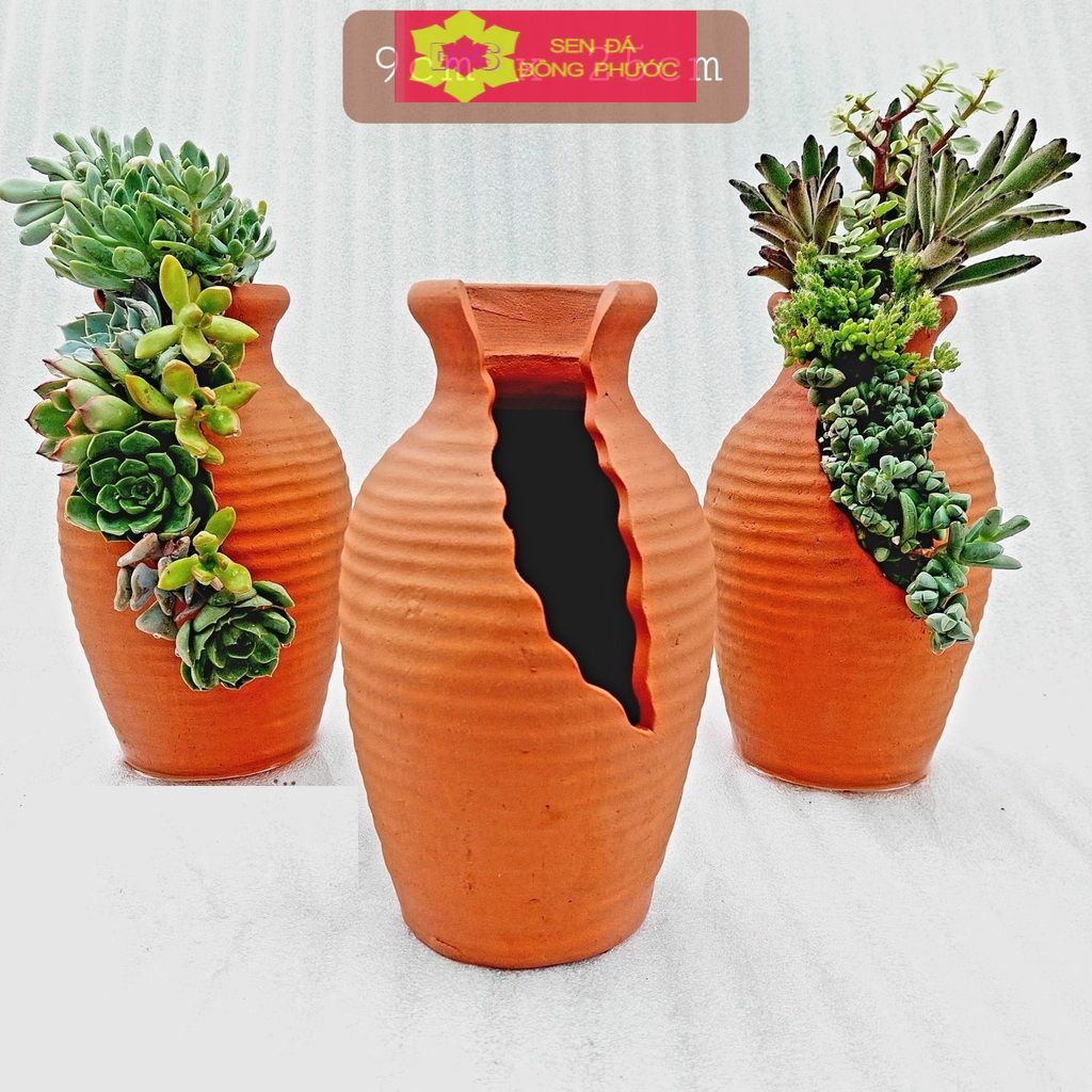 Chậu đất nung - Bình hoa nâu đỏ xẻ miệng, miệng chậu 9cm, chiều cao 25cm- chậu trồng sen đá, xương rồng sen đá đông phước-