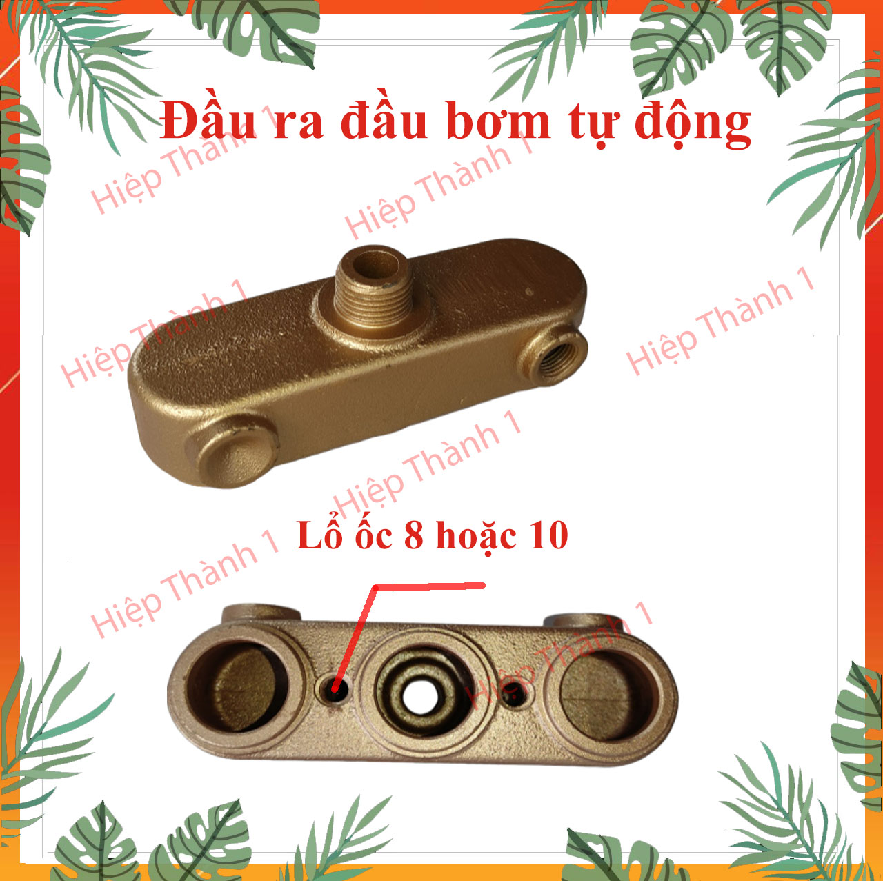 Đầu ra đầu rửa xe 1HP và 2HP tự động - Hiepthanh1myluong