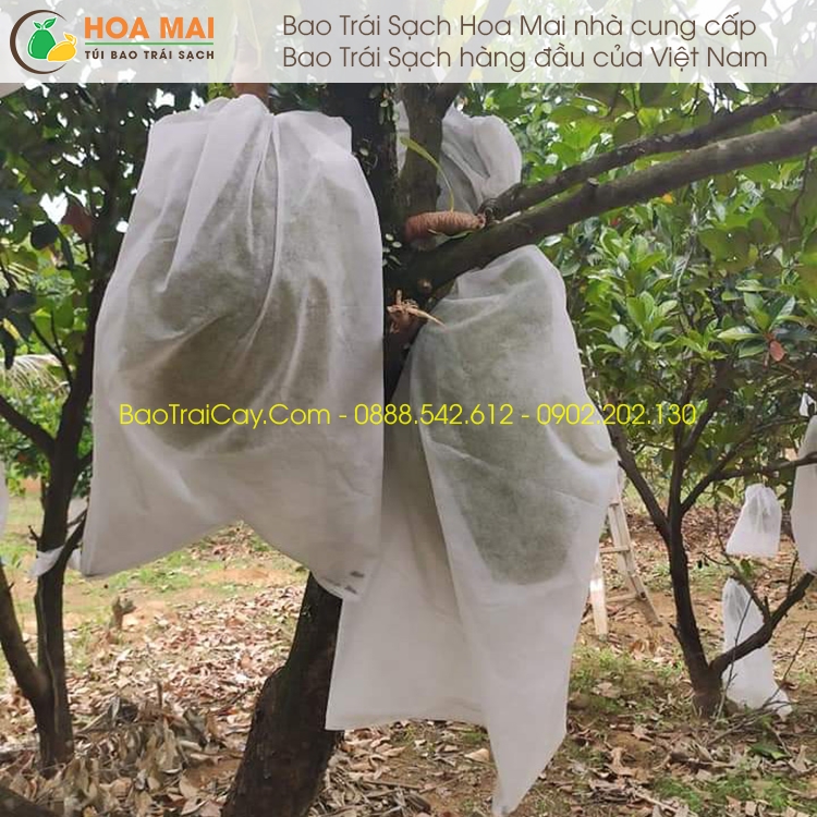 Bao trái cây hoa mai 50x70 100 cái