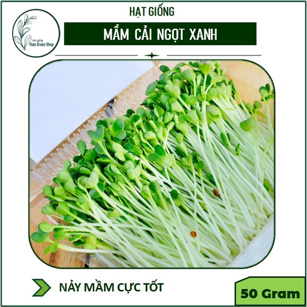 Hạt giống rau mầm cải ngọt xanh 50 gr