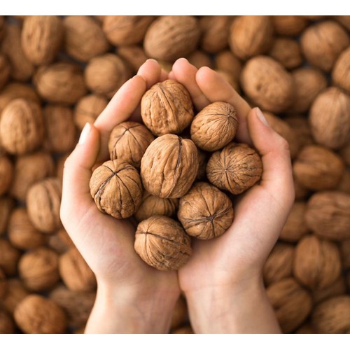 Quả óc chó nhập khẩu Mỹ 1kg - nhân mẩy, ngon